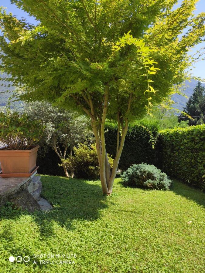 Casa Vacanza Il Glicine Casale Corte Cerro Eksteriør billede