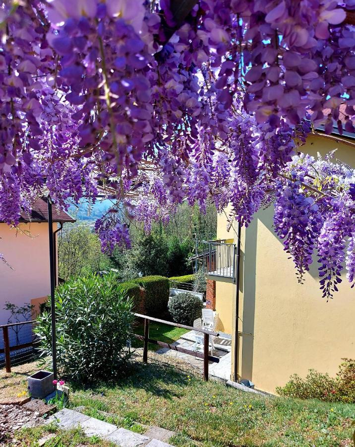 Casa Vacanza Il Glicine Casale Corte Cerro Eksteriør billede